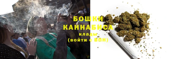 ALPHA PVP Заводоуковск