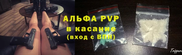 ПСИЛОЦИБИНОВЫЕ ГРИБЫ Рославль