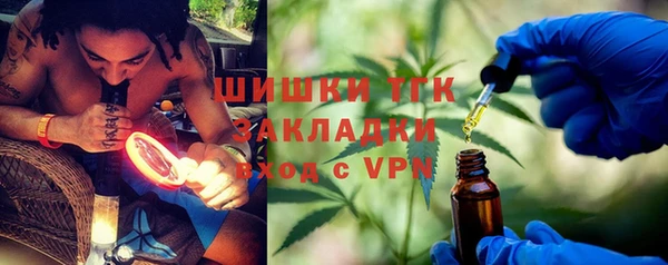 ПСИЛОЦИБИНОВЫЕ ГРИБЫ Рославль