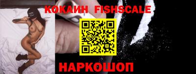 крисы Гатчина