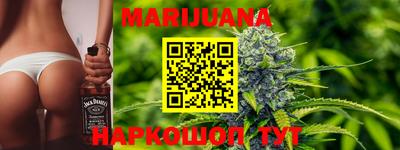 крисы Гатчина