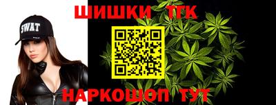 крисы Гатчина