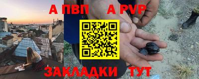 крисы Гатчина