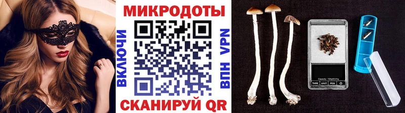 как найти закладки  Соль-Илецк  Галлюциногенные грибы мицелий 