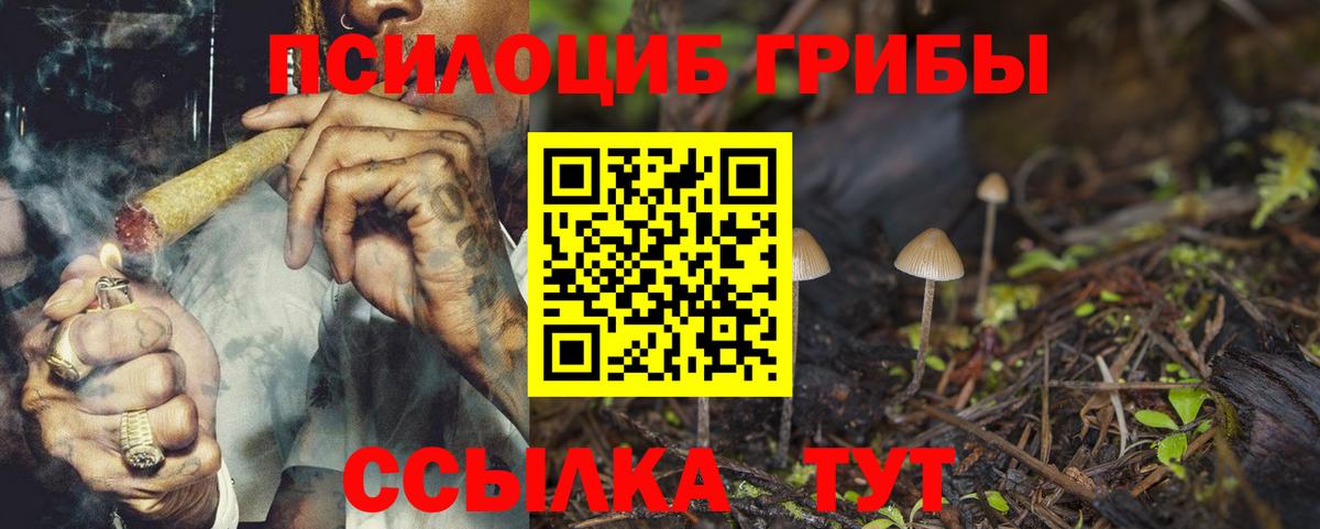 Галлюциногенные грибы Cubensis  Вход с VPN  Псилоцибиновые грибы Cubensis  Соль-Илецк 