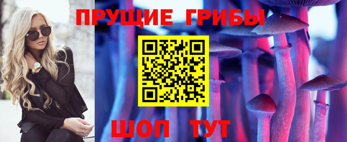 Галлюциногенные грибы Psilocybe Соль-Илецк